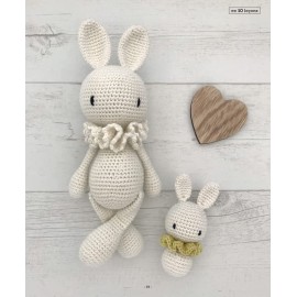 Livre "Apprendre le crochet en 10 leçons" Les éditions de saxe